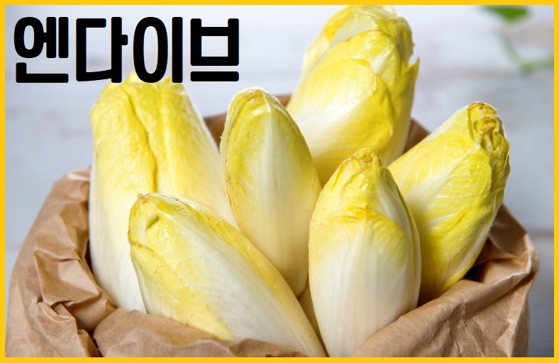 엔다이브