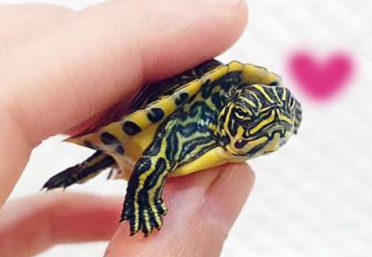 센트럴 곤충 생태농장