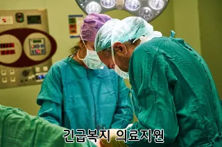 긴급복지 의료지원