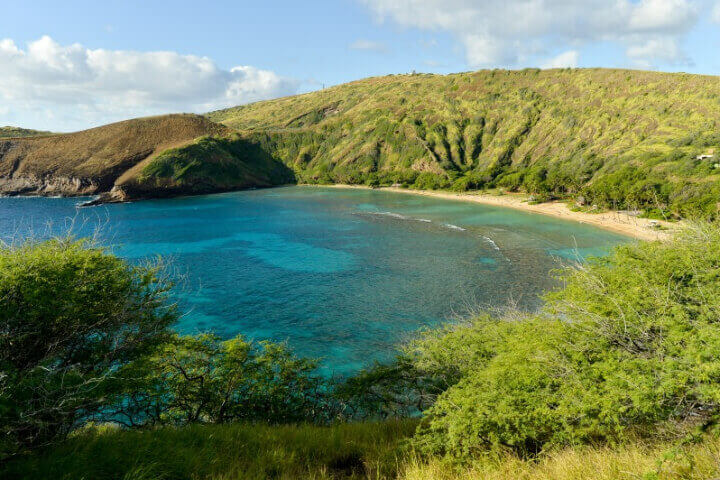 스피루리나가-자라는-호수