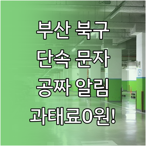 부산 북구 불법 주정차 단속 문자 알..