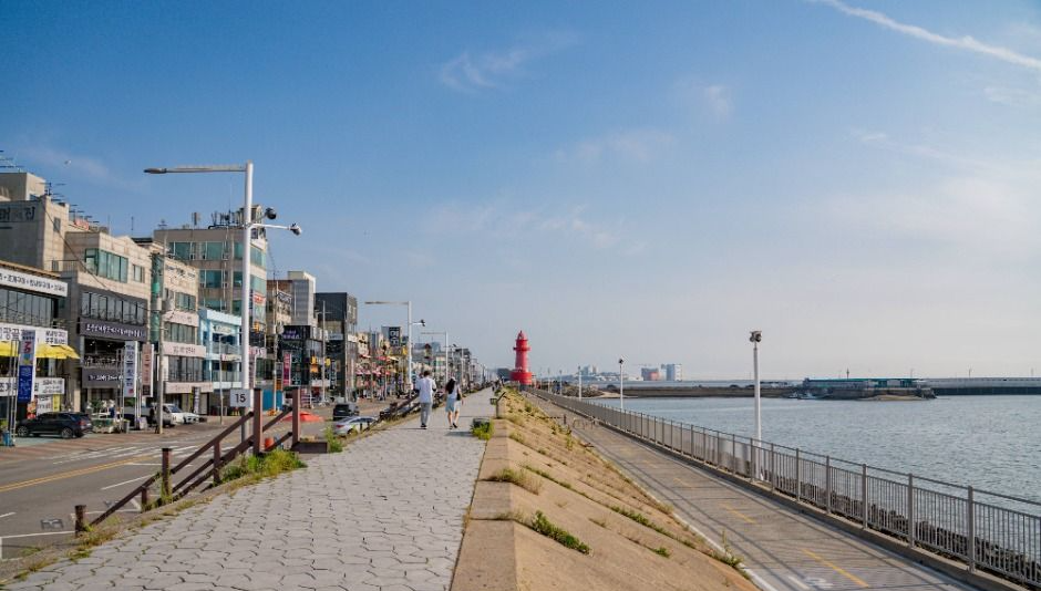 서해안 반려견 겨울 나들이 명소, 강아지와 함께 걷기 좋은 바다 산책