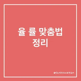 율 률 맞춤법 완벽정리 합격률 합격율_2