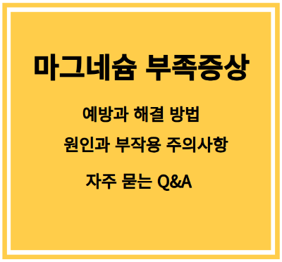 마그네슘