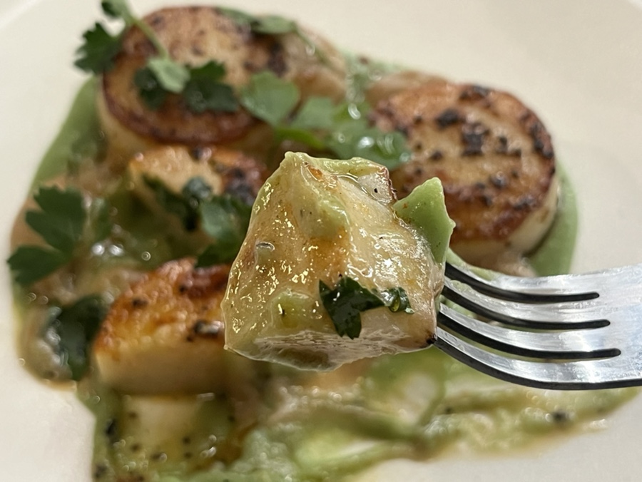 관자 요리 클로즈업, 탱글탱글한 식감이 매력적인 성수 맛집 안주