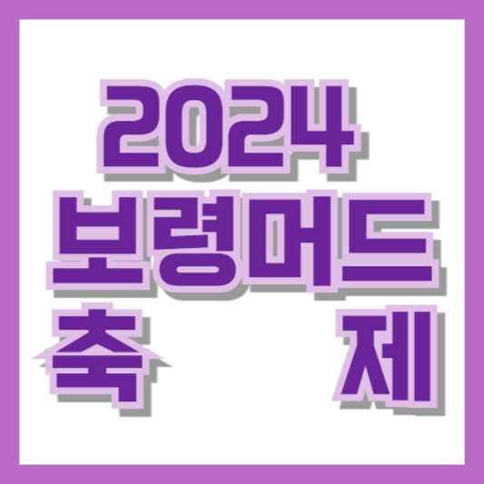 2024 보령머드축제