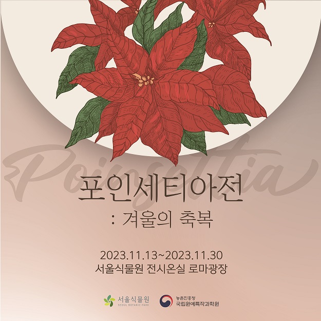 서울식물원 포인세티아전 알아보기