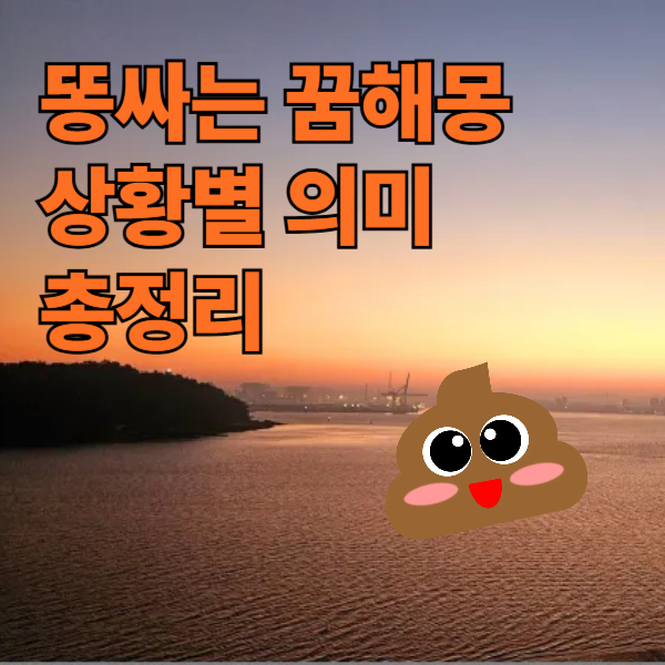 똥싸는꿈