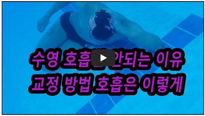 수영 유튜버 순위 TOP 10 6