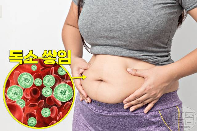 독소배출 음식 디톡스 식단