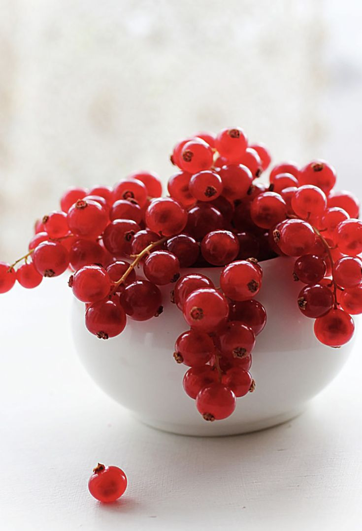 도곡역 먹거리 추천 관련 사진