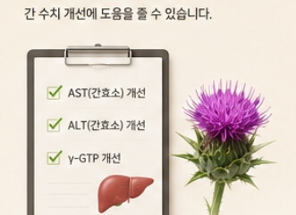 밀크씨슬 효과와 복용법