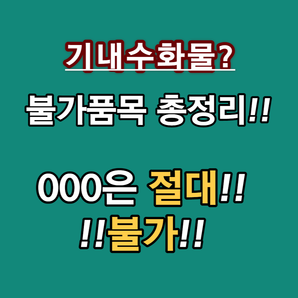 기내수화물