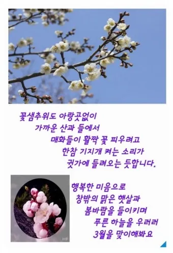 3월 인사말 모음 예시 문자_14