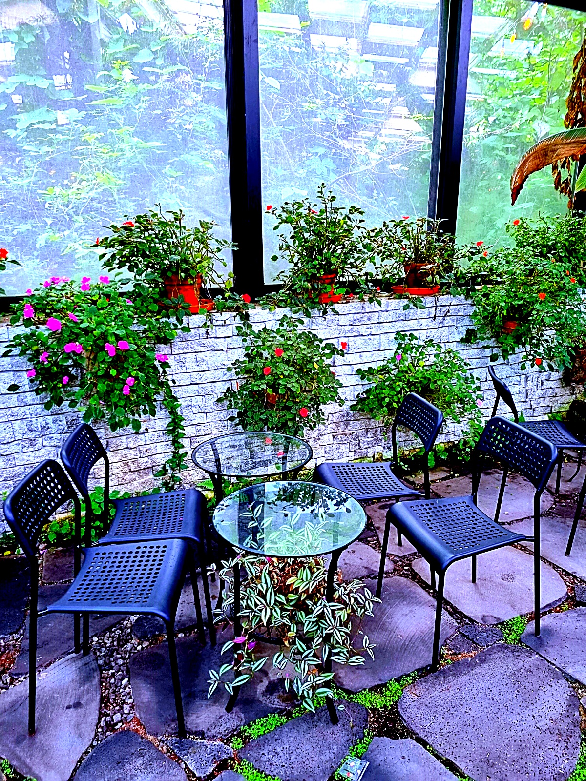 양주 오랑주리 카페: 자연 그대로 실내에 담은 대형 식물원 카페