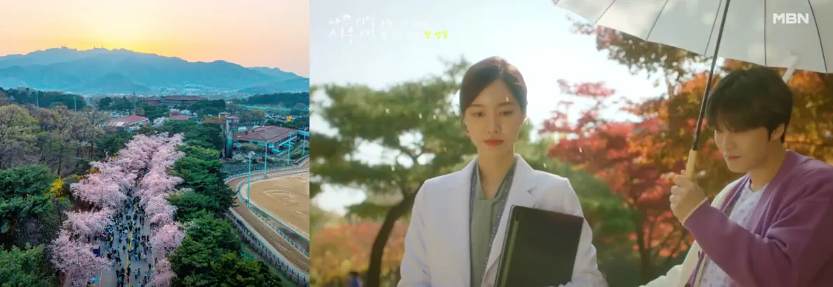 나쁜 기억 지우개 단풍 촬영지