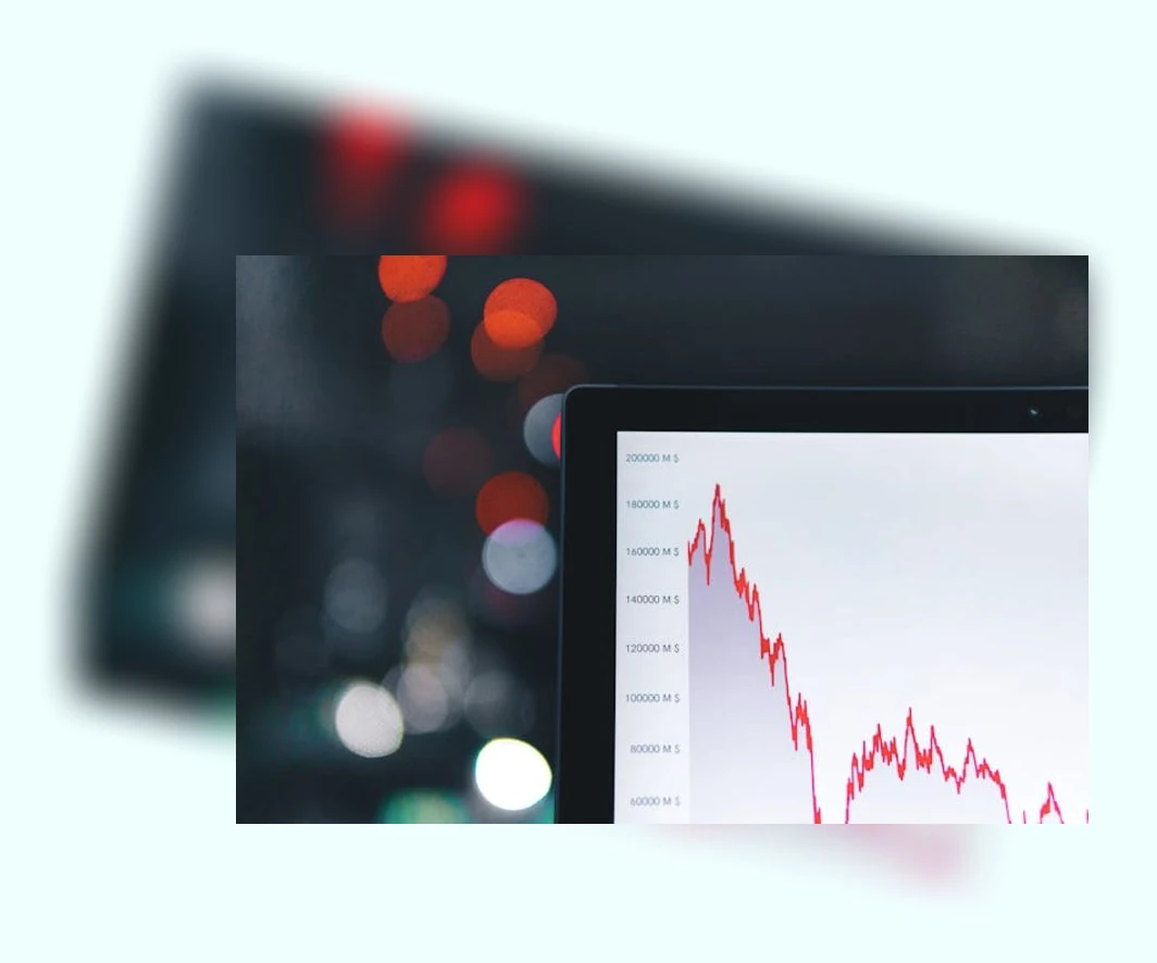 알트코인 투자_2_subsection