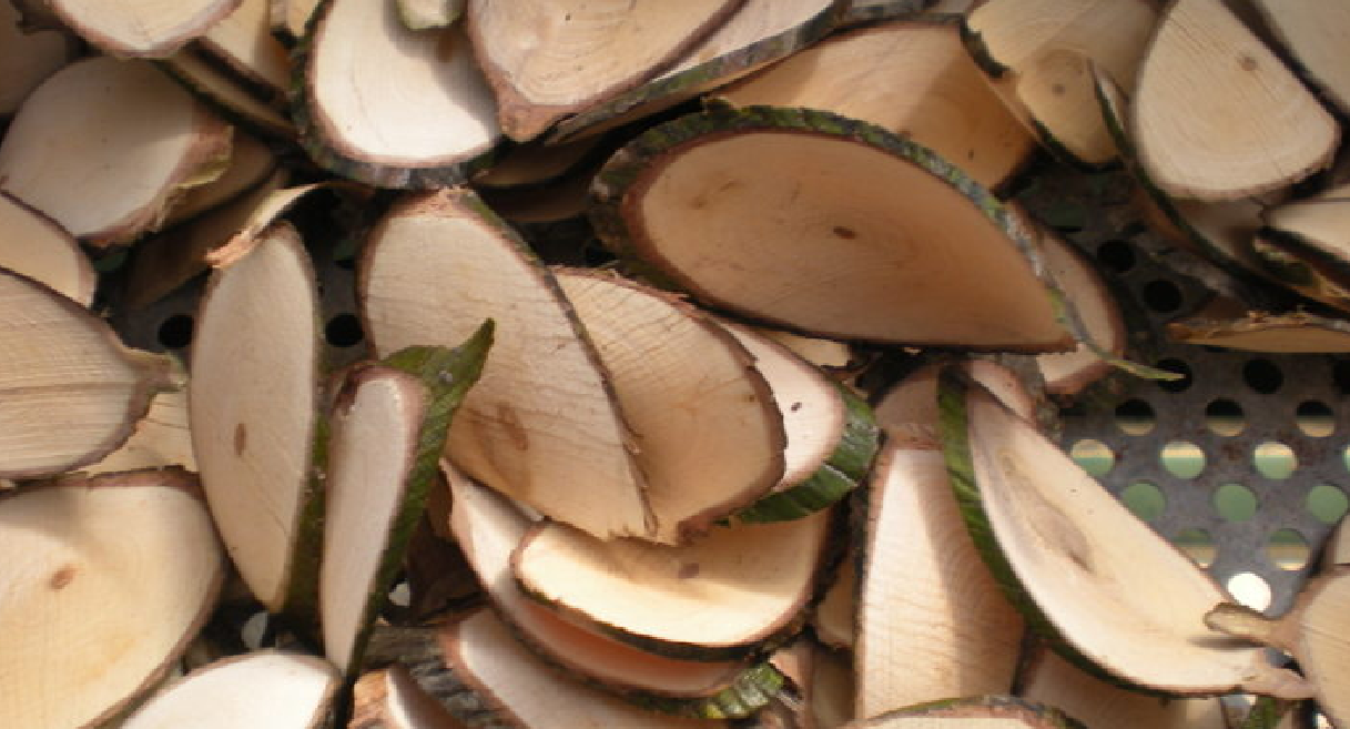 황달에 좋은 음식 엉겅퀴