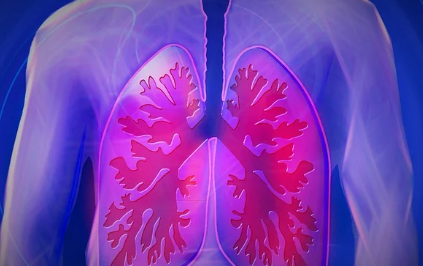 보건증-인터넷발급-방법