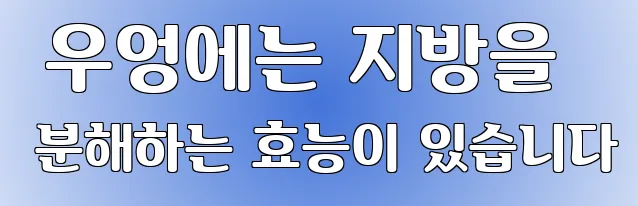  우엉에는 지방을 분해하는 효능이 있습니다