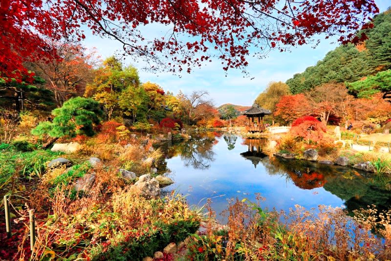 가평-아침고요수목원-단풍