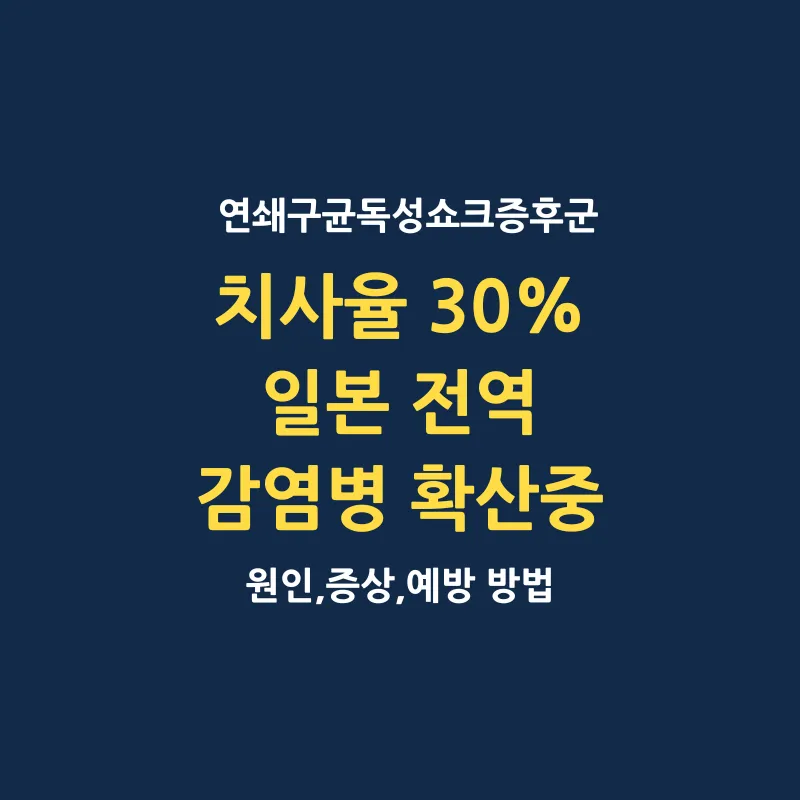 일본 연쇄구균독성쇼크증후군 전염병 원인 증상 치료방법