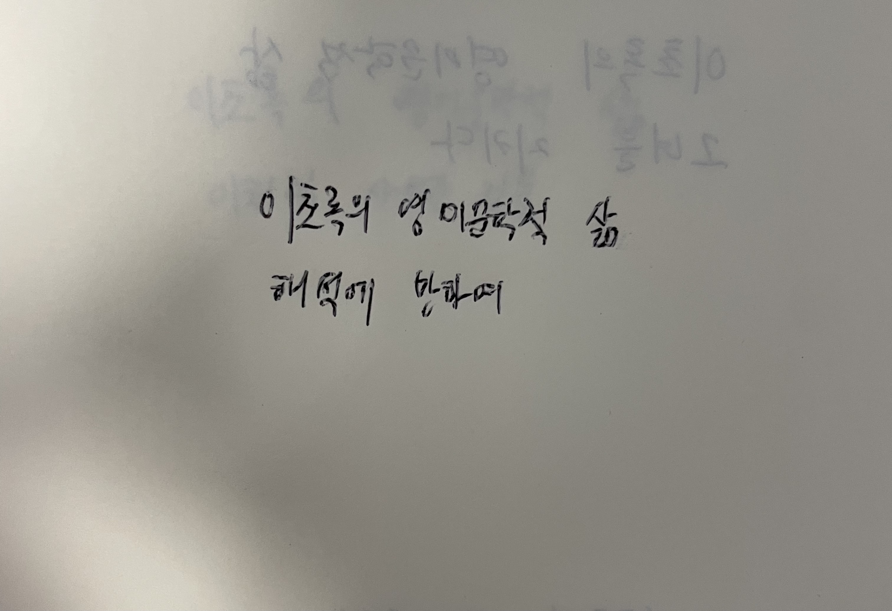이초록의 영미문학적 삶- 해석에 반하여 수전 손택 손글씨