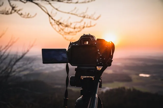 DSLR 카메라 꽃 촬영 접사 거리 합초 요령_8