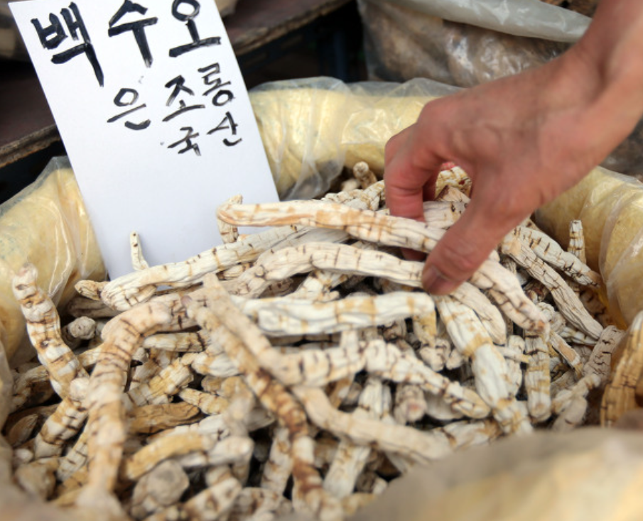백수오갱년기