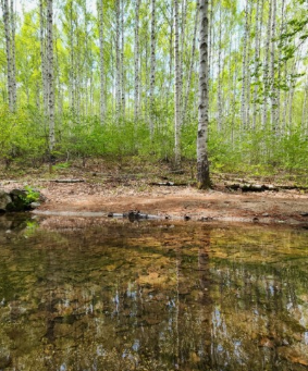 추석 연휴 가기 좋은 국내 여행지 추천