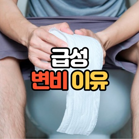 갑자기 변비가 생기는 경우