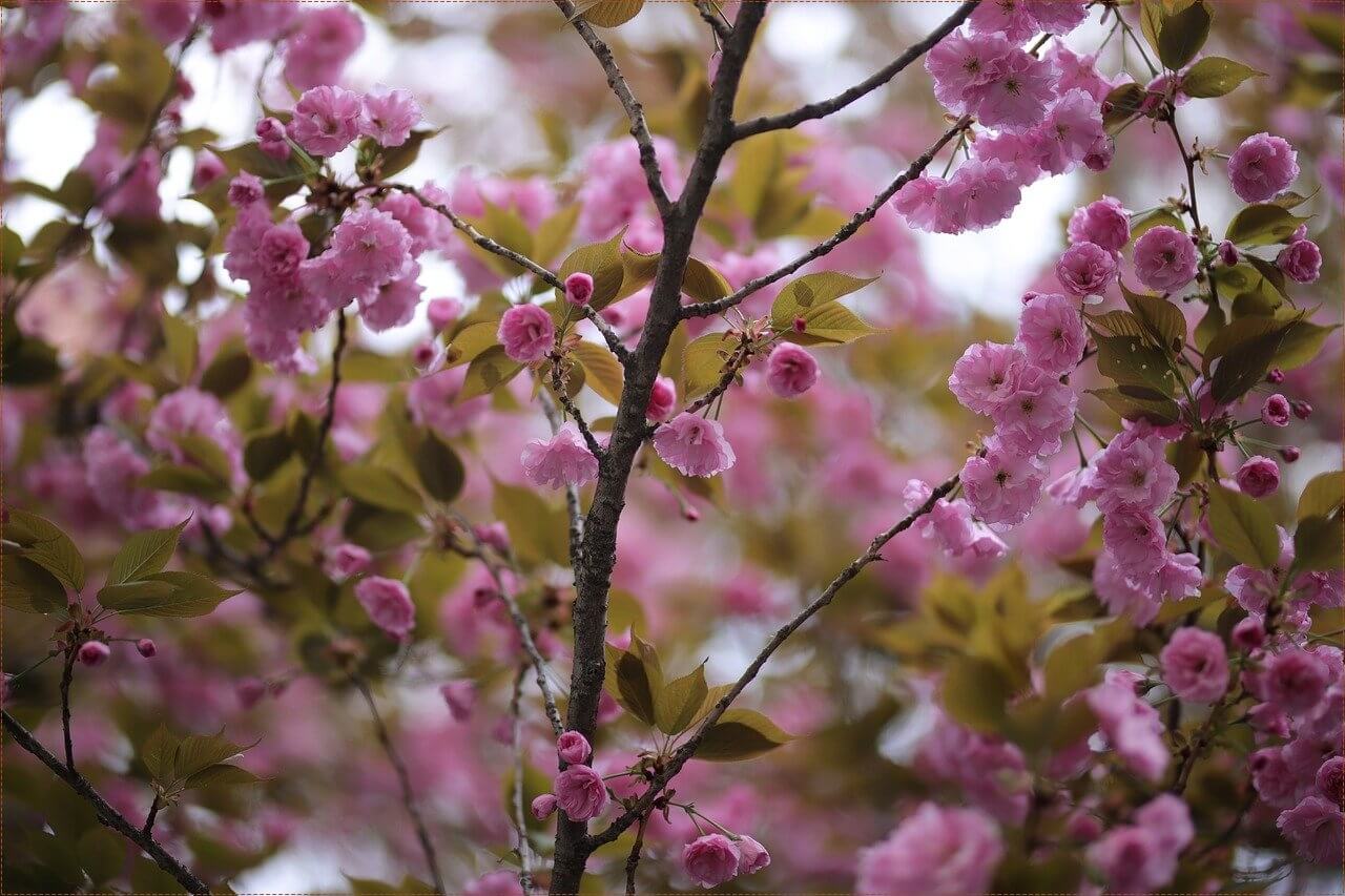 신한은행 정기예금 금리