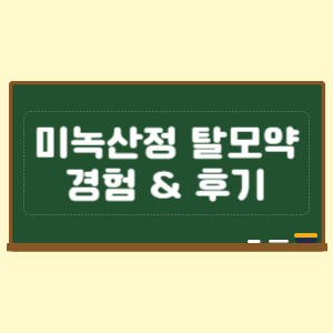 미녹시딜정(미녹산정) 탈모약 경험담 실제 후기