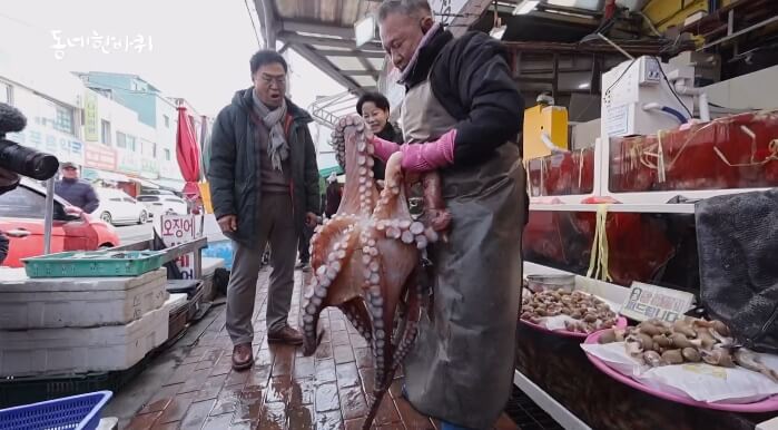 대왕문어