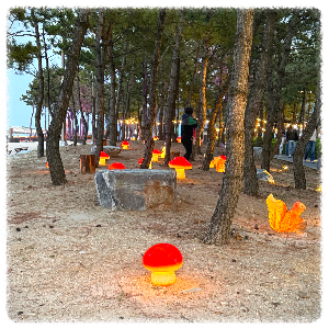 삼척해수욕장