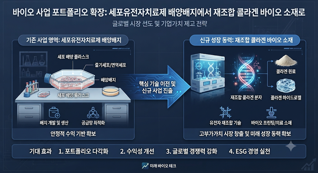 엑셀세라퓨틱스 배양배지와 재조합 콜라겐 사업 확장 구조
