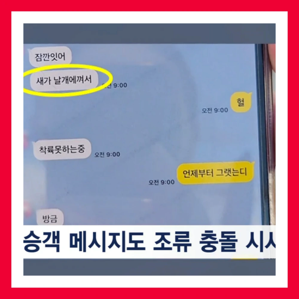 제주항공-엔진-깃털-조류충돌