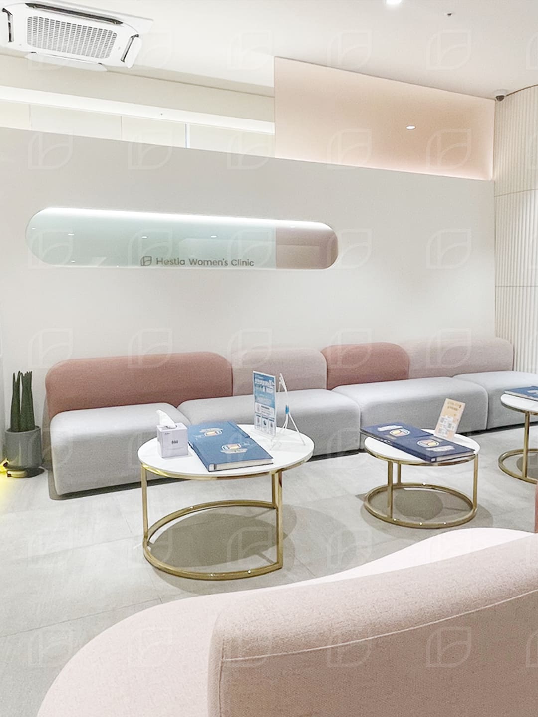 소음순 비대칭과 소음순 가려움이 연관있나요?