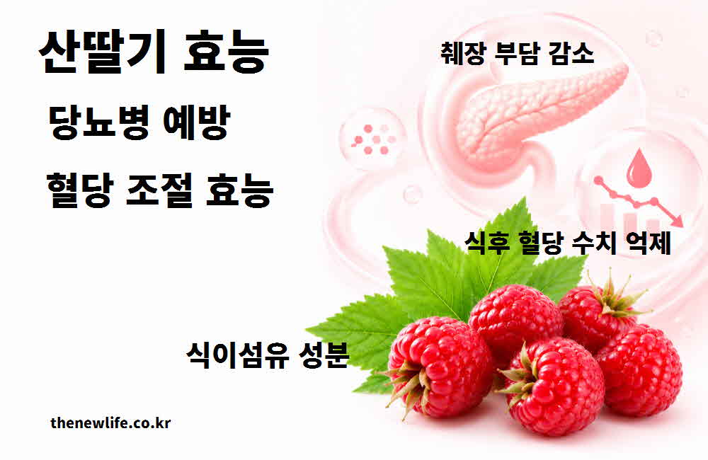 산딸기 효능 당뇨병 예방 혈당 조절