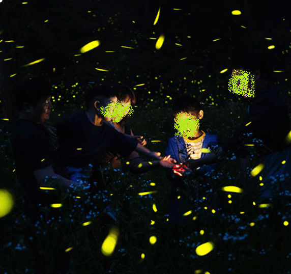 무주 반딧불 축제 반딧불 신비탐사