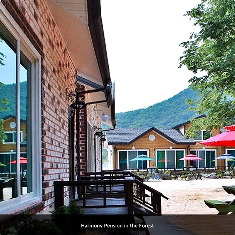 Harmony Pension in the Forest_3