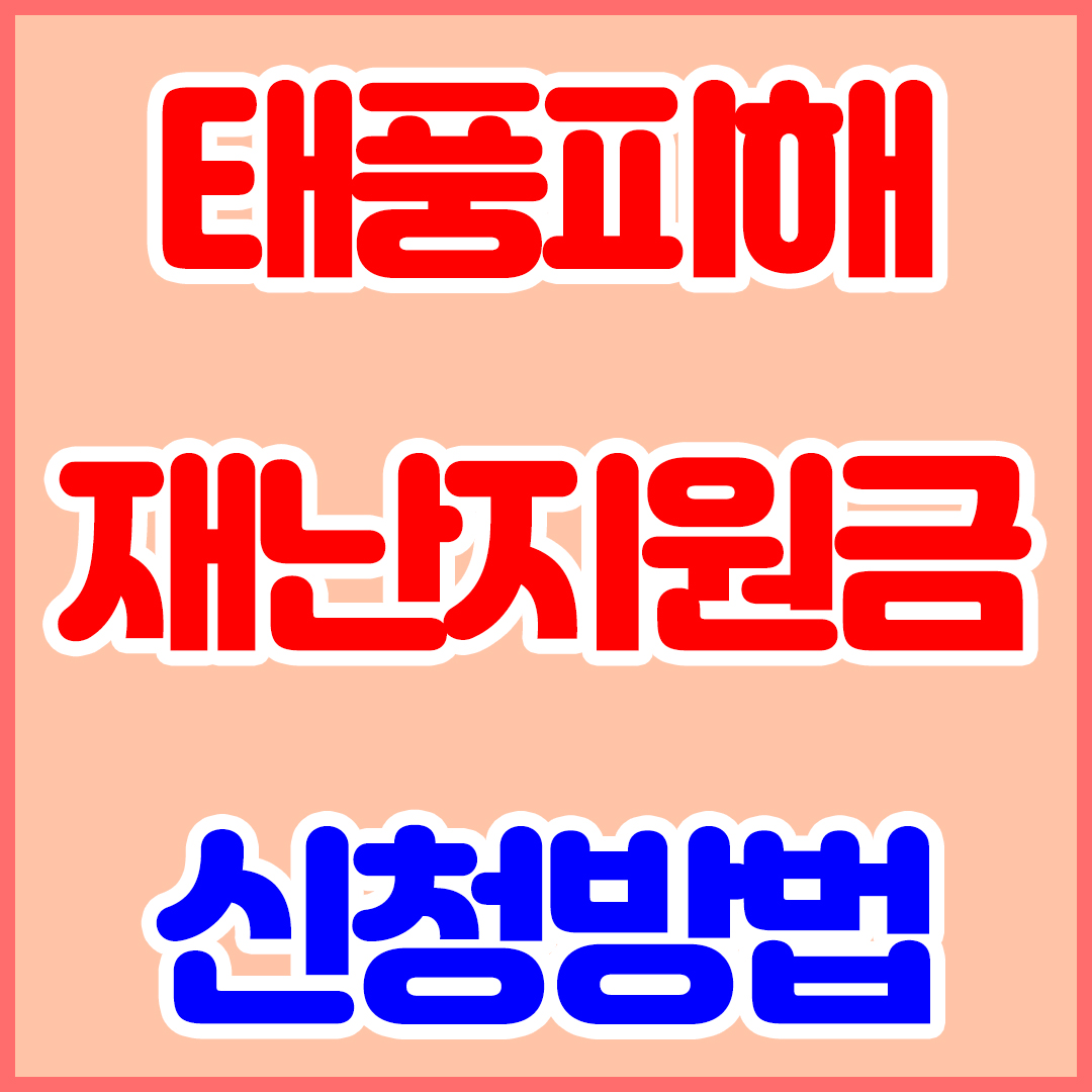 태풍피해 재난지원금 신청방법 및 지원 유형 절차 신고기간