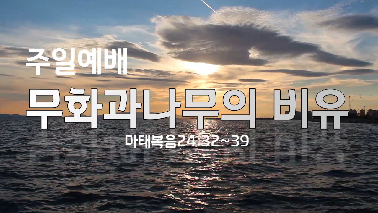 무화과 나무의 비유