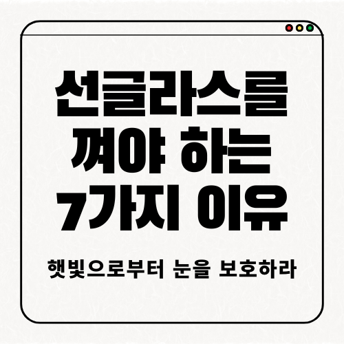 선글라스를 껴야 하는 7가지 이유