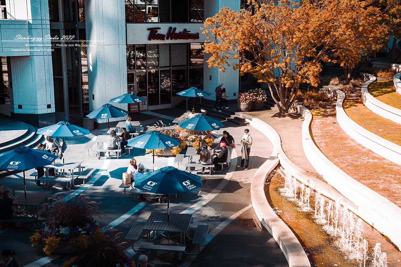 #캐나다 #밴쿠버 #거리 #캐나다여행