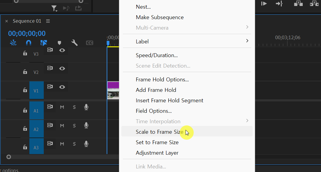 Scale to Frame Size 적용