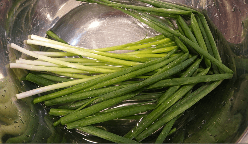 파김치 맛있게 담그는 법, 효능 및 요리 알아보기