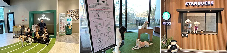 스타벅스 펫 프렌들리 전용 상품 온라인 스토어 판매 소식! [구매 방법 텀블러 패밀리 트래블 백 파우치 컵 푸드]