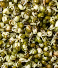 골다공증에 좋은 음식 영양제 식단