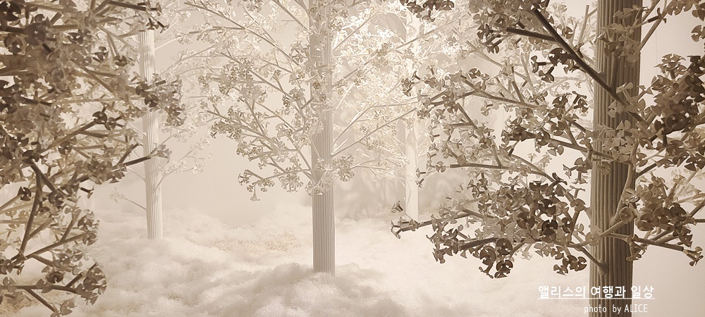 kkday 4월 할인코드, 모르면 손해보는 30% 할인코드